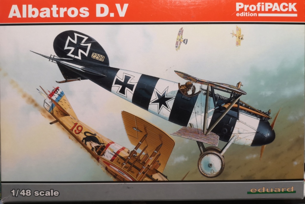 Albatros D V Eduard 1/48 Img_2348
