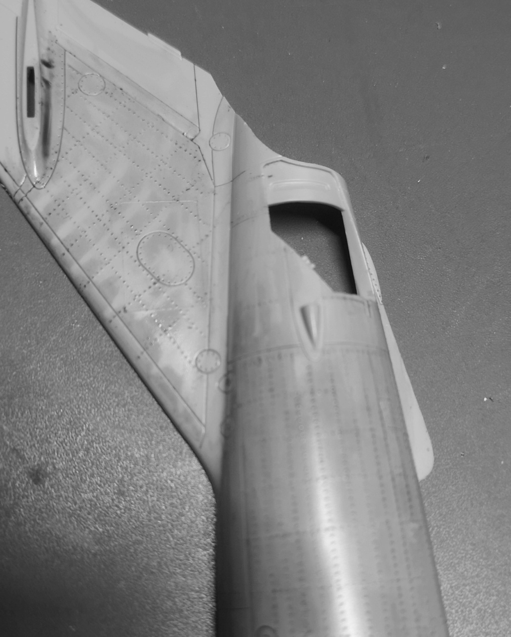 1/48 Mig 17 fresco C Hobby Boss  Img_2586