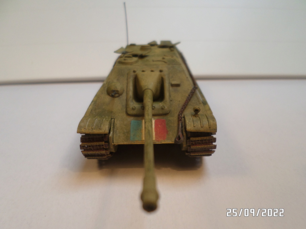  [ REVELL ]  Sd Kfz 173  Jagdpanther    ---- FINI --- - Page 2 Sam_7438
