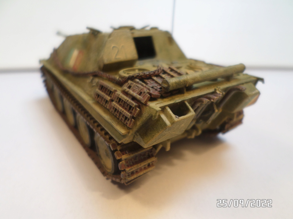  [ REVELL ]  Sd Kfz 173  Jagdpanther    ---- FINI --- - Page 2 Sam_7440