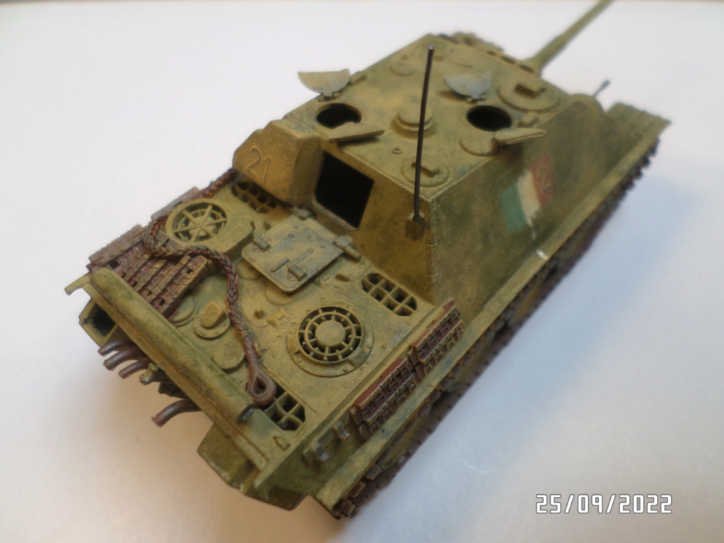  [ REVELL ]  Sd Kfz 173  Jagdpanther    ---- FINI --- - Page 2 Sam_7446