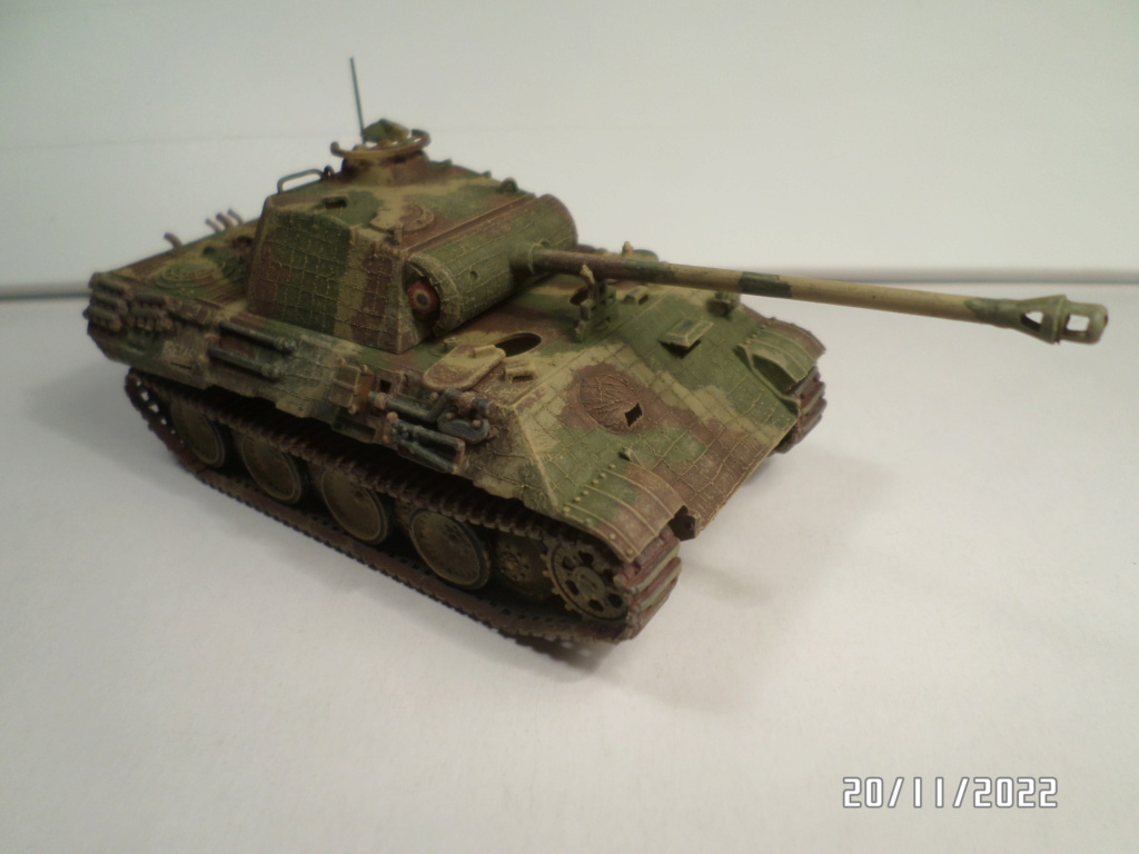   [ ESCI ]   Sd Kfz 171  Ausf A   Panther  Sam_8079