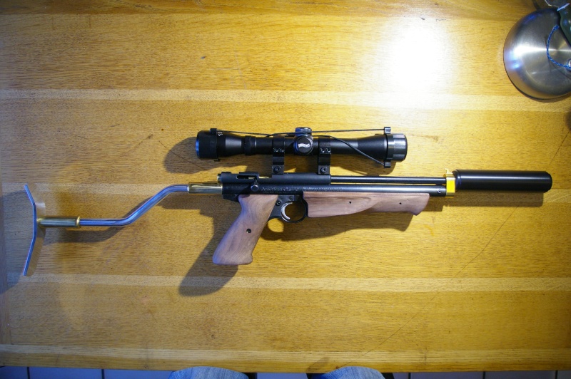 Crosman 1377 + Custom pour 200euros max ? Imgp0010