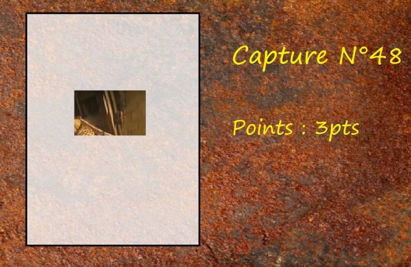 La Capture d'Image - Jeu à durée indéterminée - Page 10 Capt4810