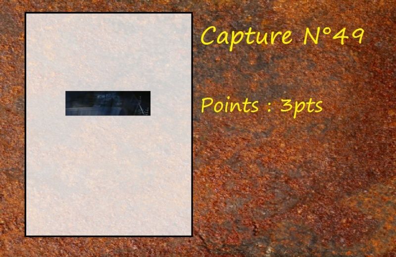 La Capture d'Image - Jeu à durée indéterminée - Page 10 Capt4910
