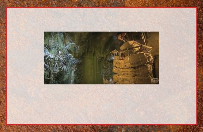 La Capture d'Image - Jeu à durée indéterminée - Page 10 Co4810