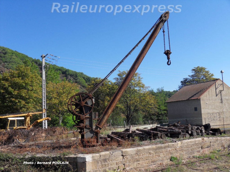 Emplacement grue de quai Grue_d10