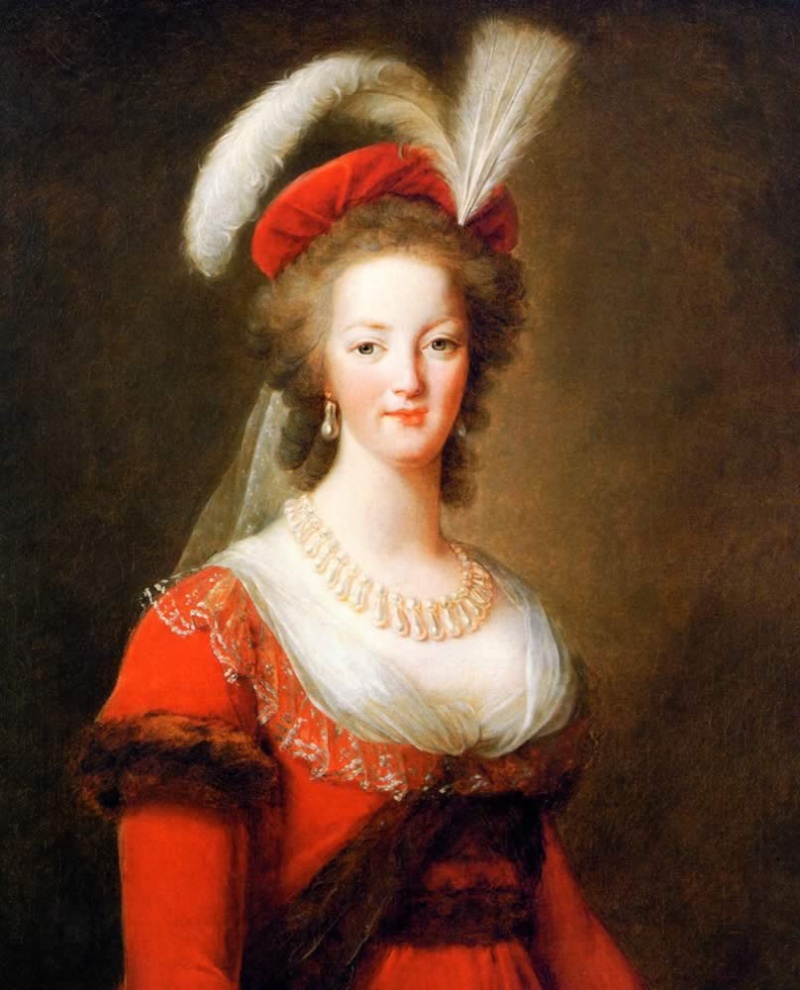 Cheveux de Marie-Antoinette Lebrun10