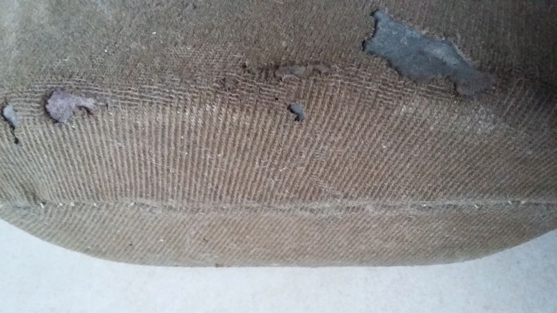 bidon 2L FR housse ersatz ? 20190117