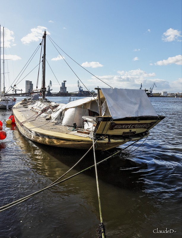 Bateaux...tout simplement - Page 29 Mcamp210