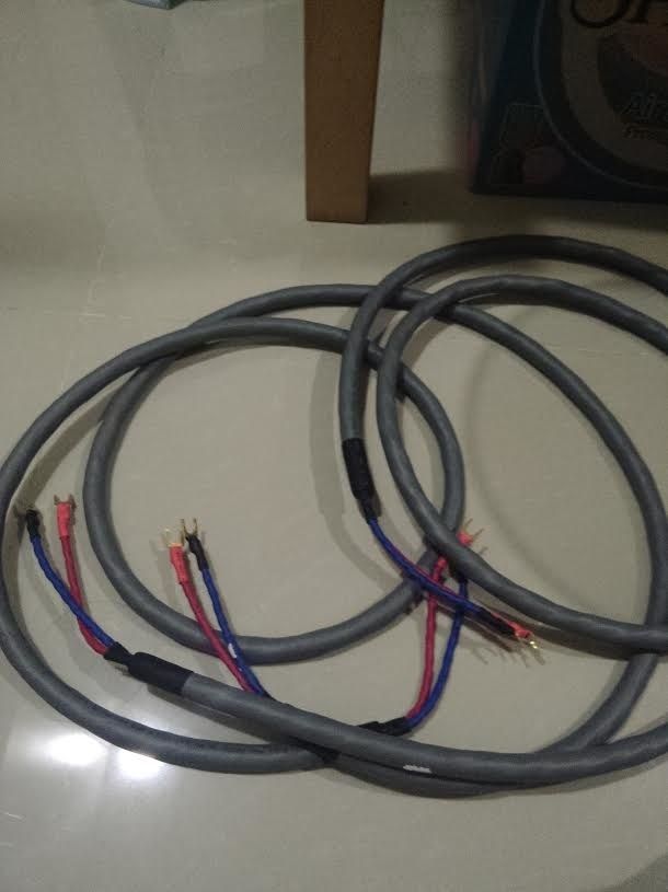 Tara Labs Speaker Cables (Sold) Untitl10