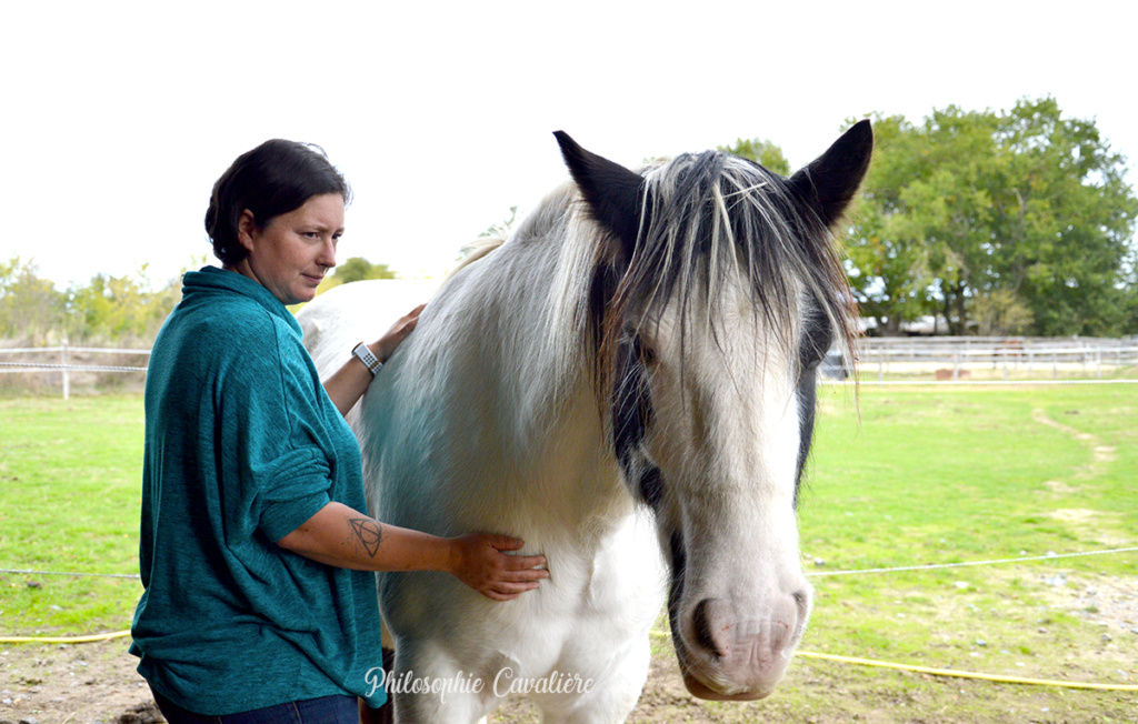 (Dept 71) 9 ans - BARNEY - Irish Cob PP - Hongre - Reservé par Evanell (janvier 2018) - Page 3 Dsc_0012