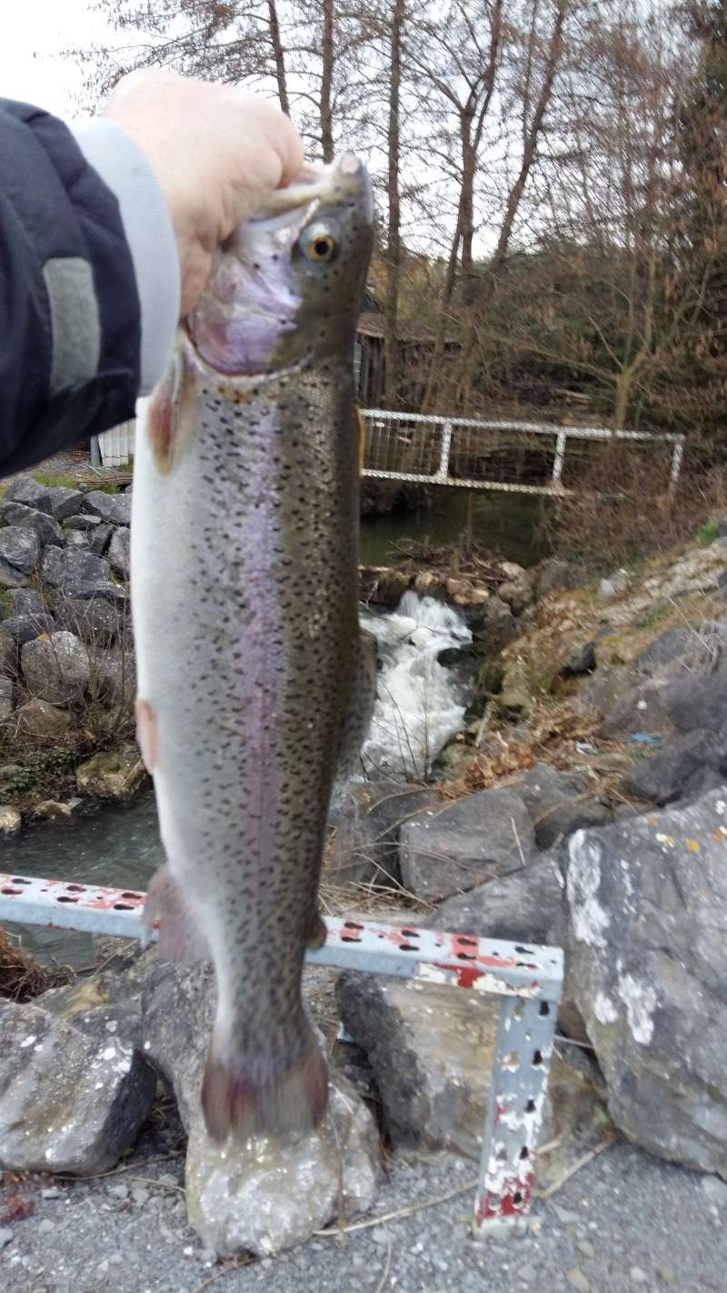 petite pêche truite au leurre sur le HON 20160324