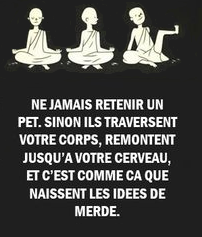 La pensée du jour - Page 15 Pet11