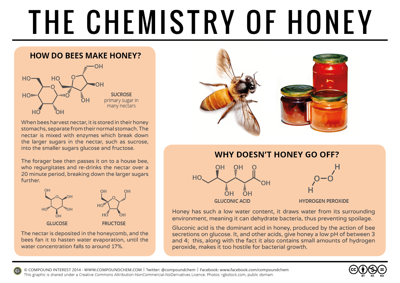 Honey does not Spoil Honey-10
