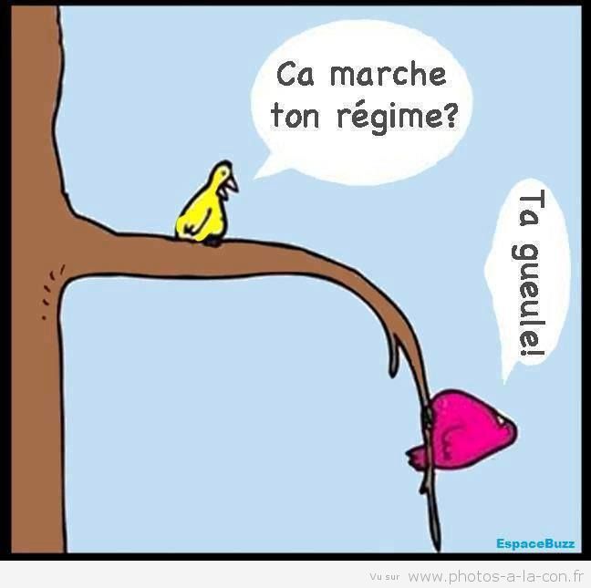 HUMOUR - blagues - Page 8 Image-12
