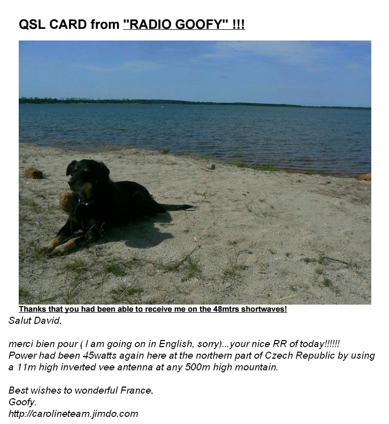 eQSL de Radio Goofy Radio_19