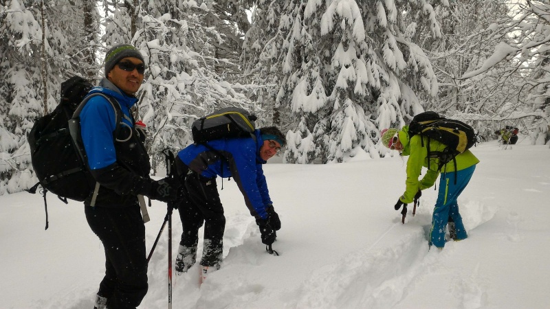 LE CHASSERON 6 MARS 2016  1606 M P_201617