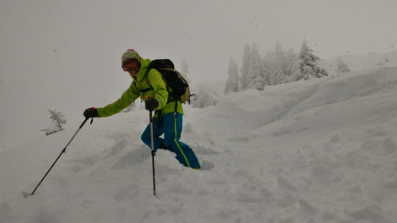 LE CHASSERON 6 MARS 2016  1606 M P_201620