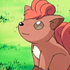 no lie in her fire Vulpix10