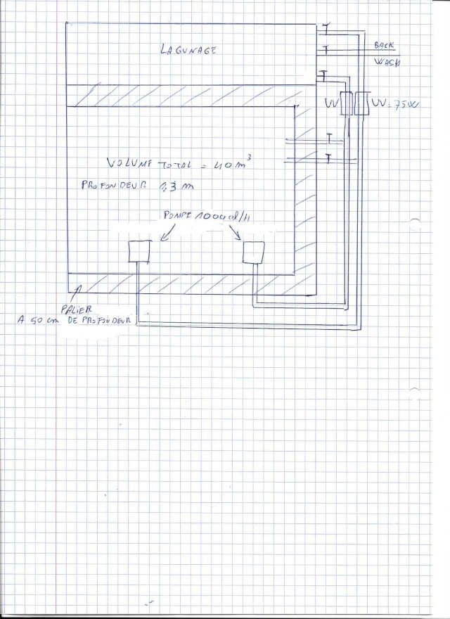 Mon premier bassin Scan0010