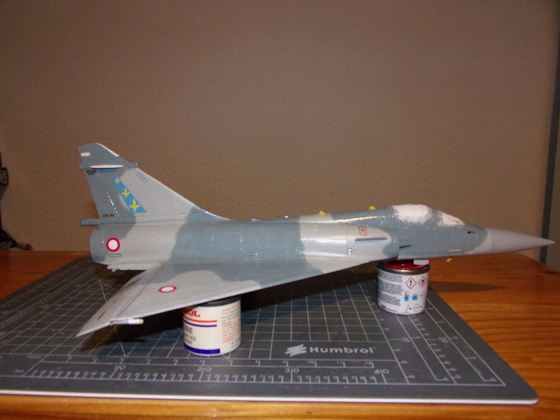 DASSAULT MIRAGE 2000 C 1/48ème Réf 80426 - Page 3 100_1013