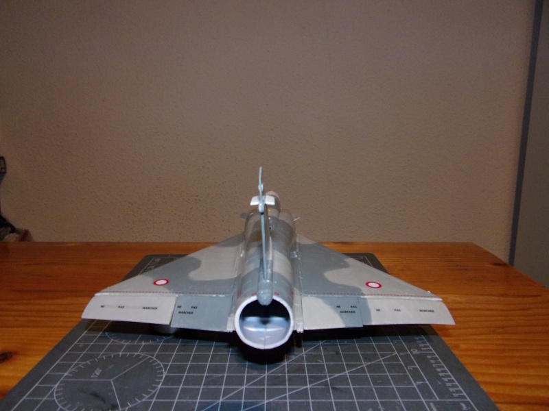 DASSAULT MIRAGE 2000 C 1/48ème Réf 80426 - Page 3 100_1014