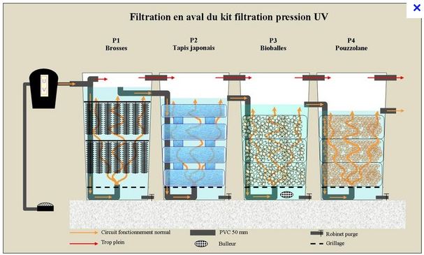 quel pompe / filtre  Elymen10