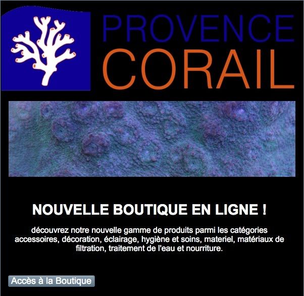 provence corail Captur10