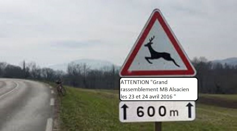 Nouveau rassemblement MB en Alsace - Page 3 15092010