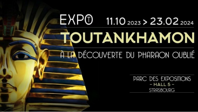 Toutankhamon quitte Lyon pour Strasbourg - La Sucrière accueille Erwitt Expo_t10