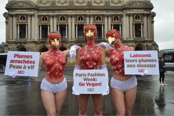 Paris Fashion Week : des militantes de PETA « plumées à vif »  Fashio10