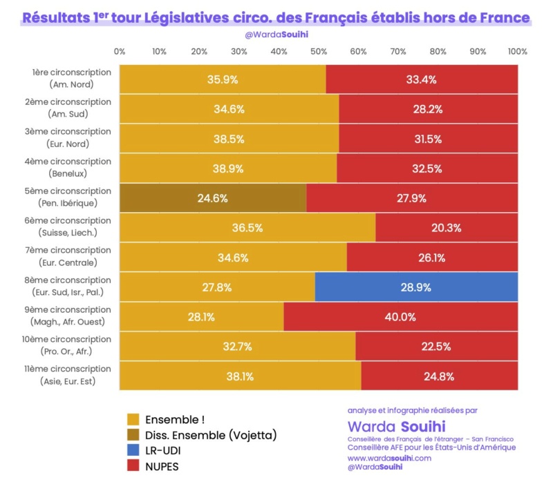 législatives - Législatives 2022 : comment ont voté les français de l'étranger Rzosul13