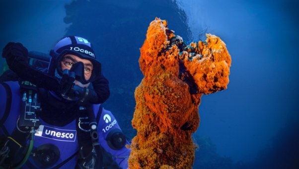 Exploration 1 Ocean / UNESCO - Volcans sous-marins, plongée aux origines de la vie Unesco11