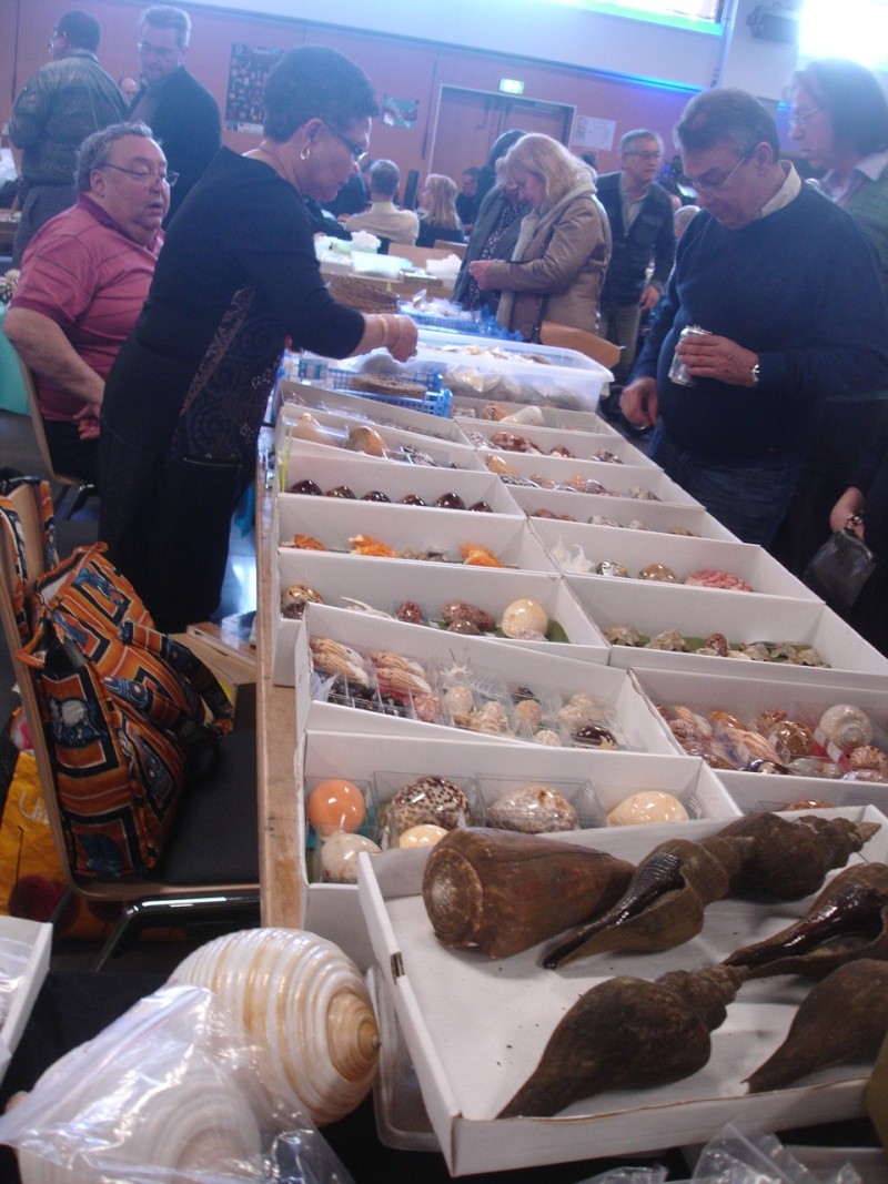2016 Bourse internationale de Paris - Page 5 Dsc05549