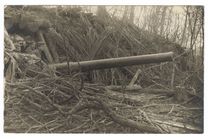 le canon de marine de 14cm du bois d'Herméville dans la Woëvre  18-02-10