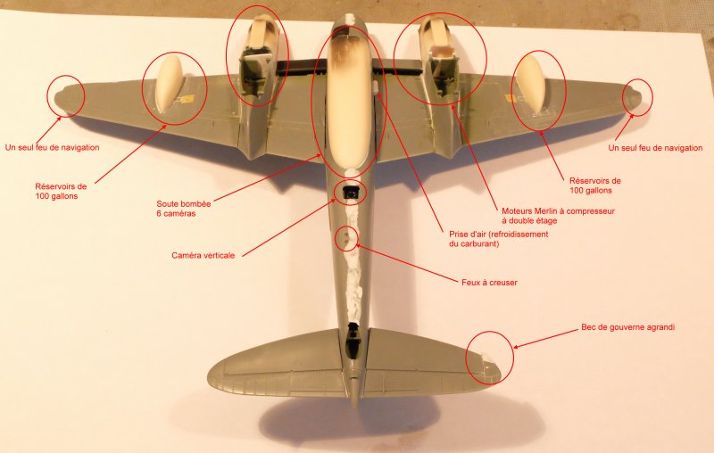 Un moustique à longues pattes - A tropical mossie - Page 3 Modif_11