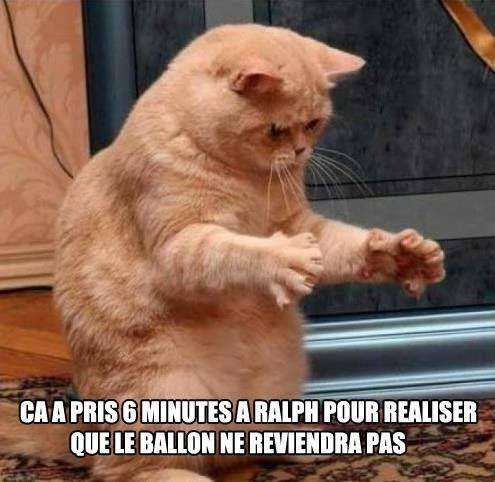 humour - Page 17 10376910