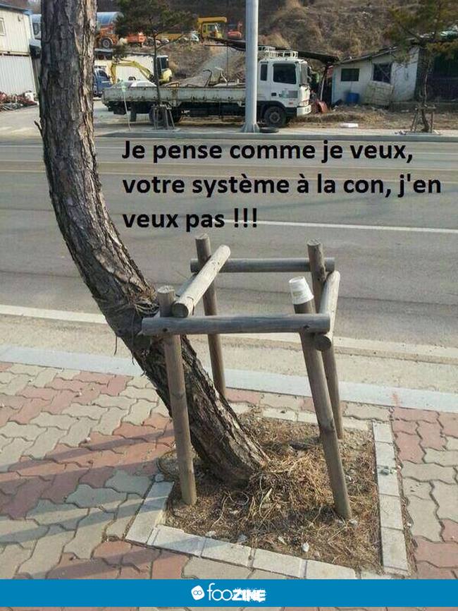 humour - Page 21 12734212