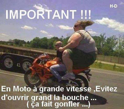 humour - Page 30 12800110