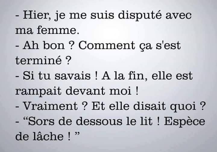 humour - Page 31 12805910