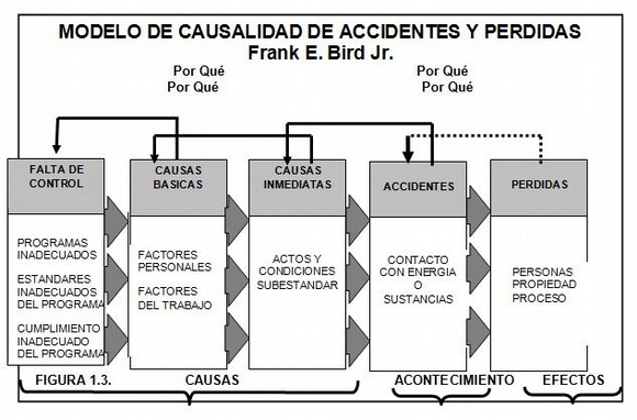 Modelo de Causalidad de Accidentes y Pérdidas ♦ Frank E. Bird Jr. Modelo10