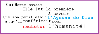 3 - La Bonne Nouvelle du Christ annoncée à tous les Peuples. - Page 23 Marie_15