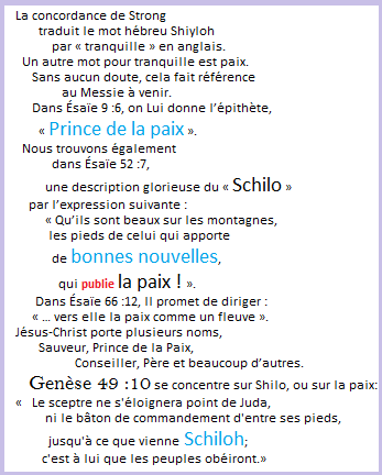 7 - La Bonne Nouvelle du Christ annoncée à tous les Peuples. - Page 22 Shilo_10