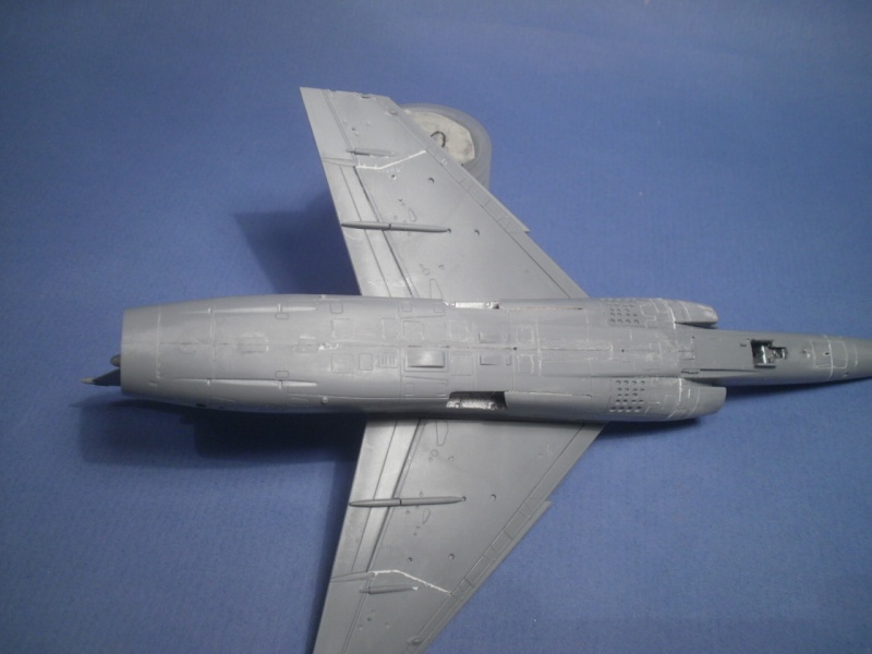 Mirage F1 C 1/72 Special Hobby - Page 2 P3100018