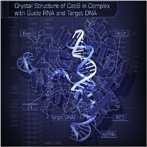 Science étonnante Crysta11