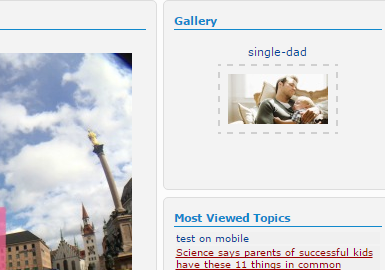 how to make Gallery thumbnail bigger on index and portal?? Untitl11