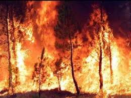 Noticia de ltima hora: Incendio en el can de Almadenes Fire11