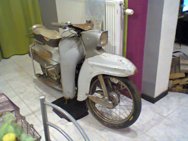Consul recherché Titine11