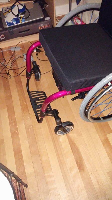 Quick question regarding husky helping a wheelchaired person up a hill. 12644910